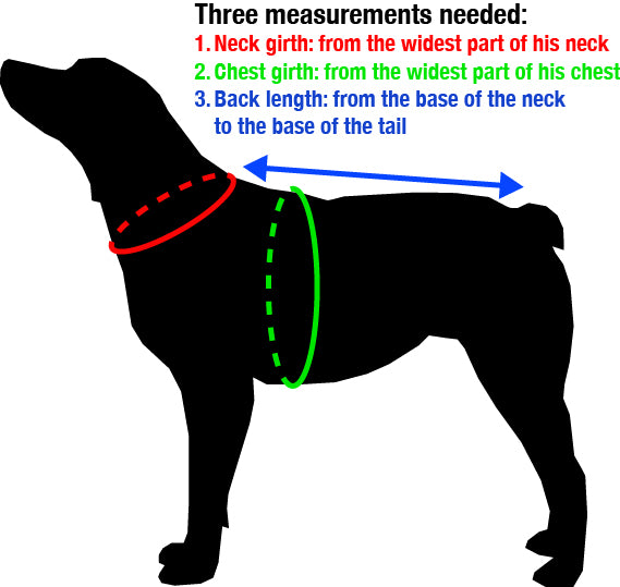 Dog Measurement Instruction